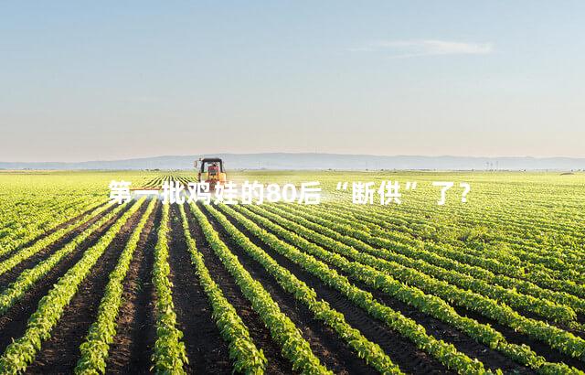 第一批鸡娃的80后“断供”了？