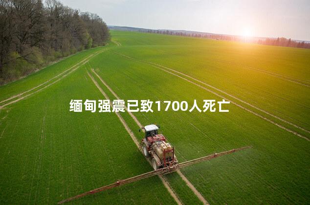 缅甸强震已致1700人死亡