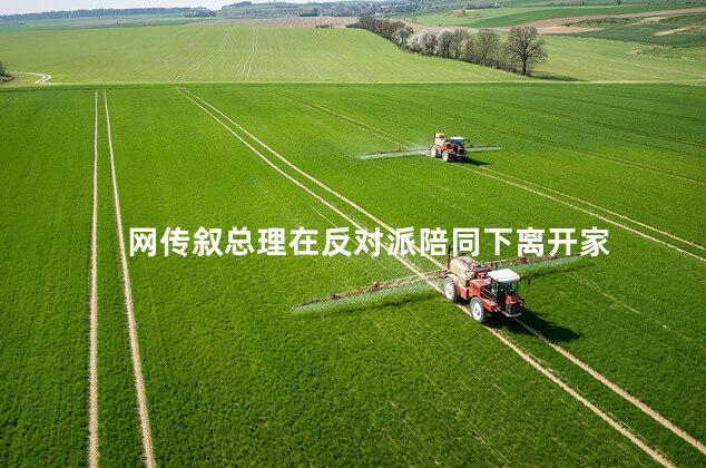网传叙总理在反对派陪同下离开家