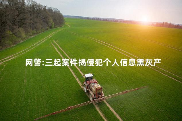 网警:三起案件揭侵犯个人信息黑灰产