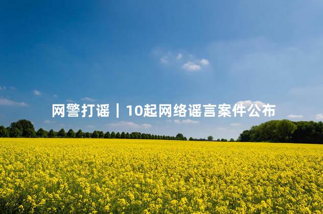 网警打谣｜10起网络谣言案件公布