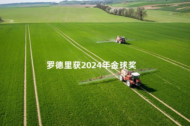 罗德里获2024年金球奖