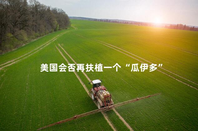 美国会否再扶植一个“瓜伊多”