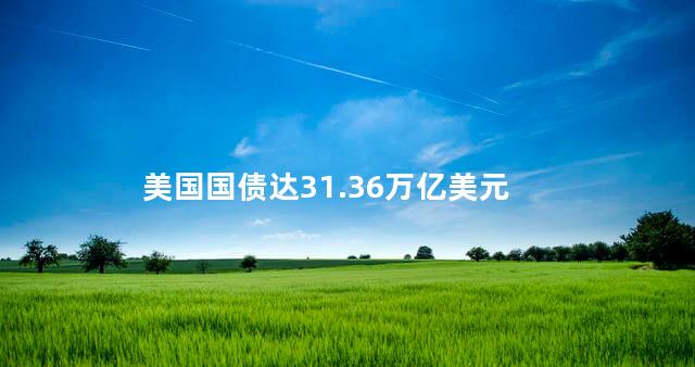 美国国债达31.36万亿美元