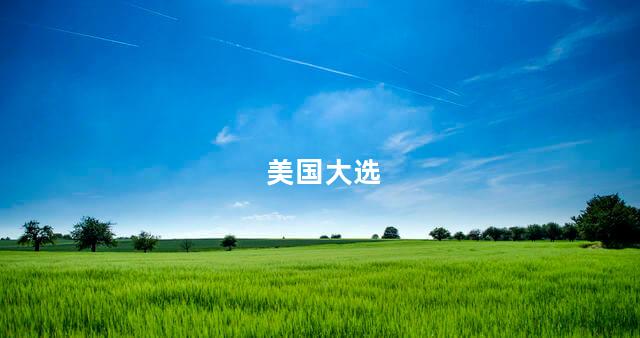 美国大选