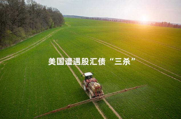 美国遭遇股汇债“三杀”