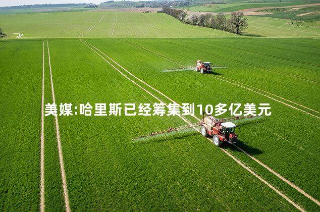 美媒:哈里斯已经筹集到10多亿美元