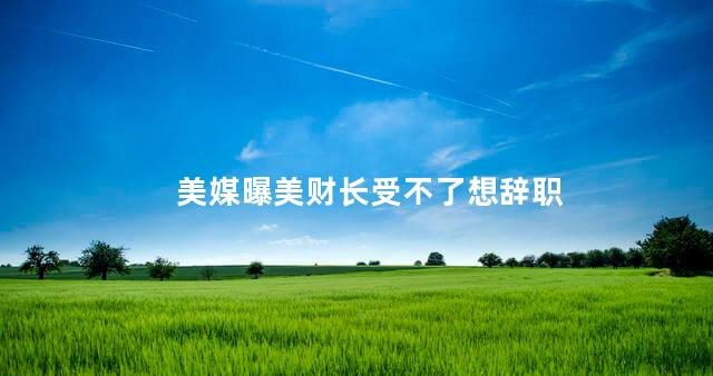 美媒曝美财长受不了想辞职