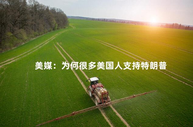 美媒：为何很多美国人支持特朗普