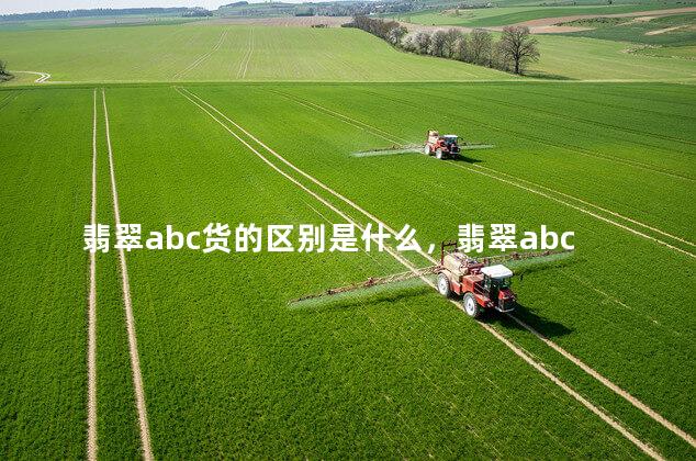 翡翠abc货的区别是什么，翡翠abc货的区别百度