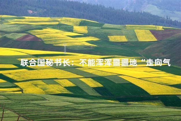 联合国秘书长：不能浑浑噩噩地“走向气候灾难”