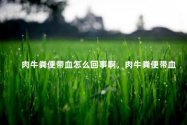 肉牛粪便带血怎么回事啊，肉牛粪便带血怎么回事儿