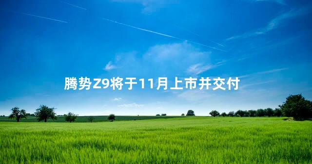 腾势Z9将于11月上市并交付