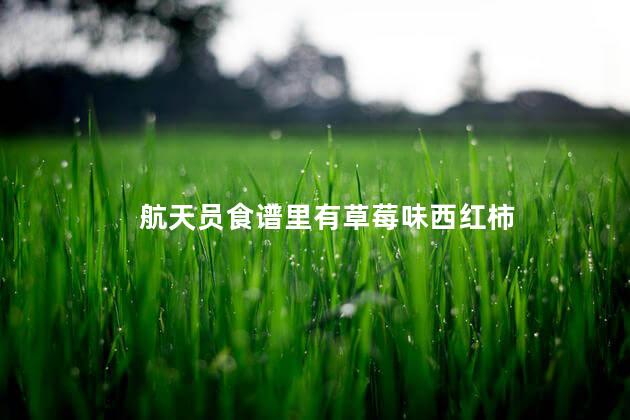 航天员食谱里有草莓味西红柿,航天员在太空做什么工作