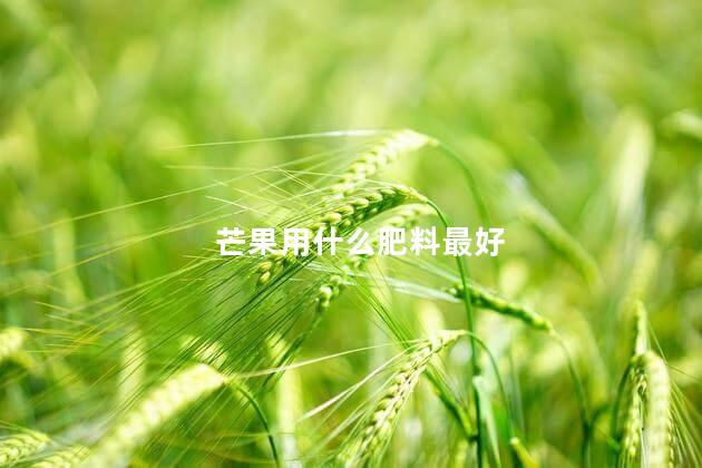 芒果用什么肥料最好 芒果树苗用什么肥料