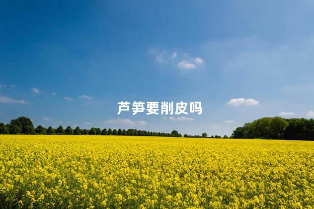 芦笋要削皮吗