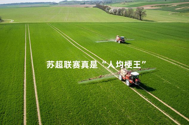苏超联赛真是“人均梗王”