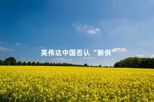英伟达中国否认“断供”