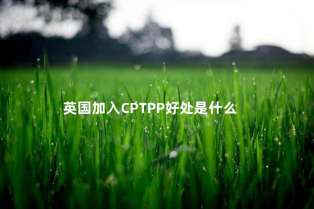 英国加入CPTPP好处是什么