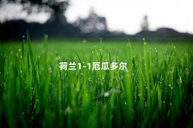 荷兰1-1厄瓜多尔