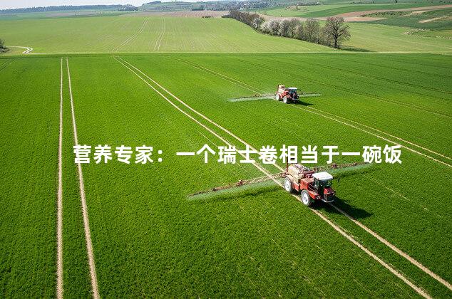 营养专家：一个瑞士卷相当于一碗饭