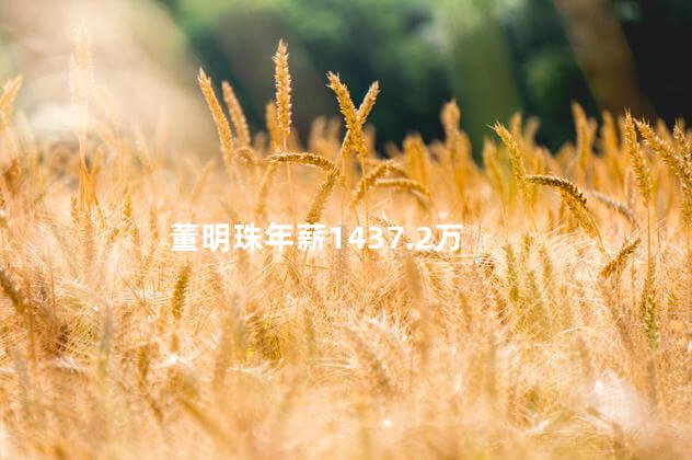 董明珠年薪1437.2万