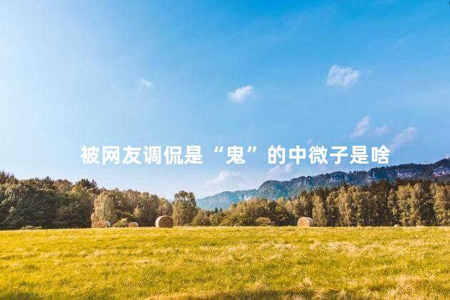 被网友调侃是“鬼”的中微子是啥