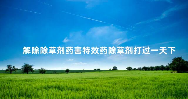 解除除草剂药害特效药除草剂打过一天下大雨了还管用吗