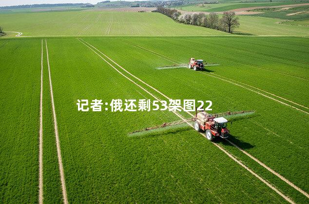 记者:俄还剩53架图22