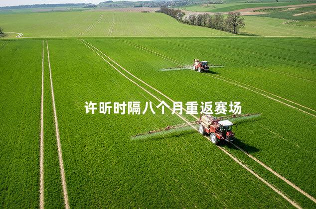 许昕时隔八个月重返赛场