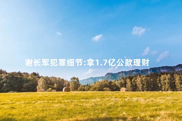 谢长军犯罪细节:拿1.7亿公款理财