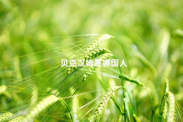 贝克汉姆是哪国人