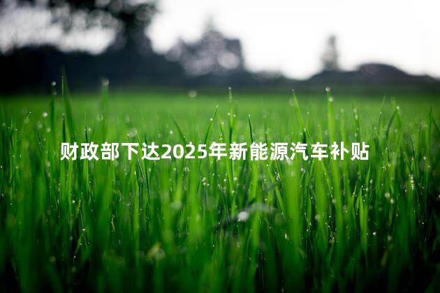 财政部下达2025年新能源汽车补贴
