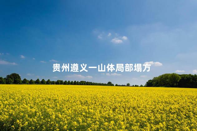 贵州遵义一山体局部塌方