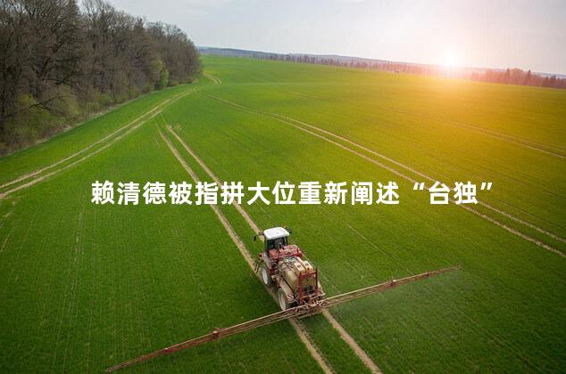 赖清德被指拼大位重新阐述“台独”