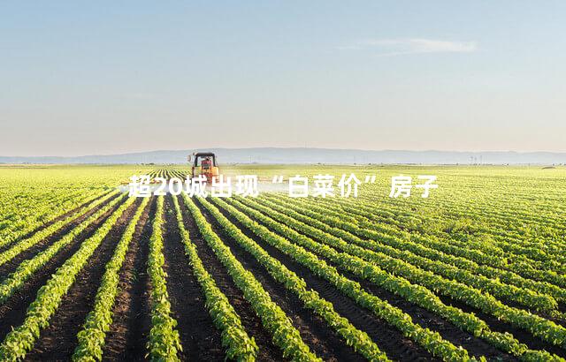 超20城出现“白菜价”房子