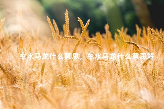 车水马龙什么意思，车水马龙什么意思解释