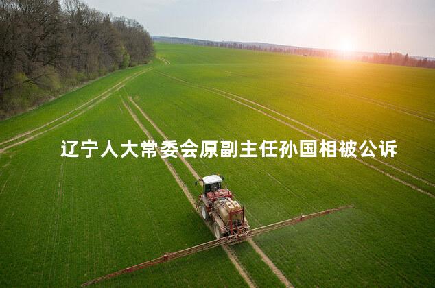辽宁人大常委会原副主任孙国相被公诉