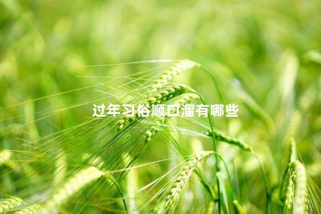 过年习俗顺口溜有哪些