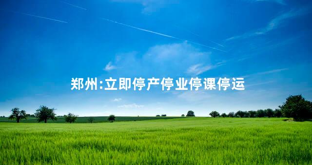 郑州:立即停产停业停课停运
