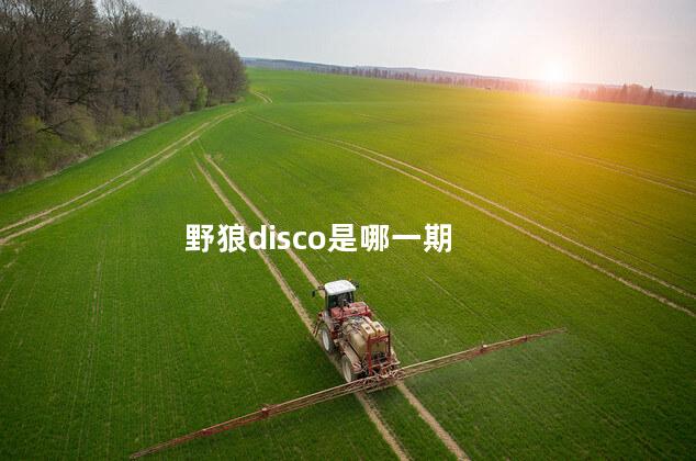 野狼disco是哪一期