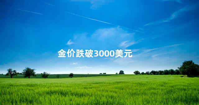 金价跌破3000美元