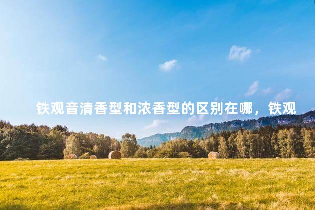铁观音清香型和浓香型的区别在哪，铁观音清香型和浓香型的区别是什么