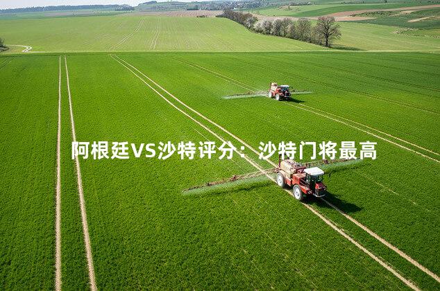 阿根廷VS沙特评分：沙特门将最高