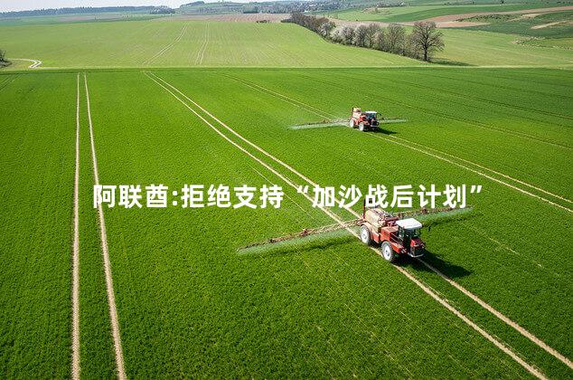 阿联酋:拒绝支持“加沙战后计划”