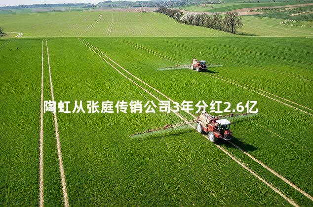 陶虹从张庭传销公司3年分红2.6亿