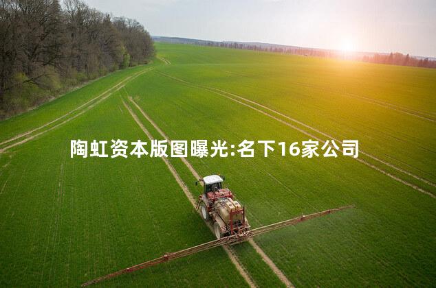 陶虹资本版图曝光:名下16家公司