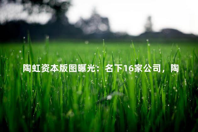 陶虹资本版图曝光：名下16家公司，陶虹投资的公司