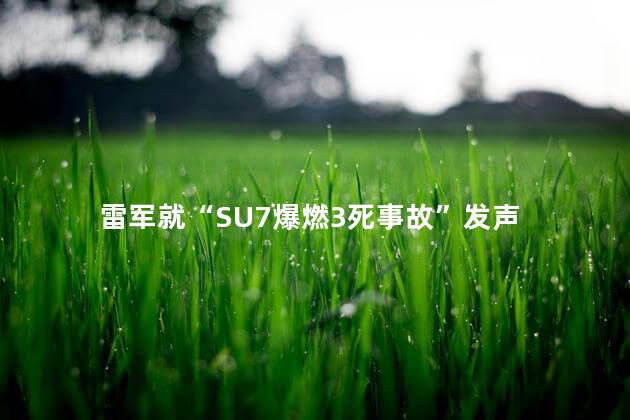 雷军就“SU7爆燃3死事故”发声