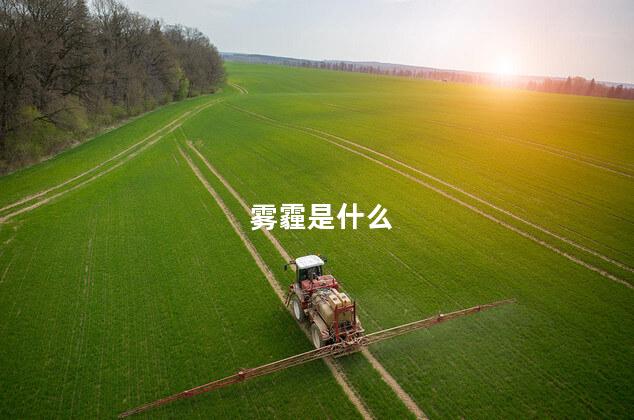 雾霾是什么